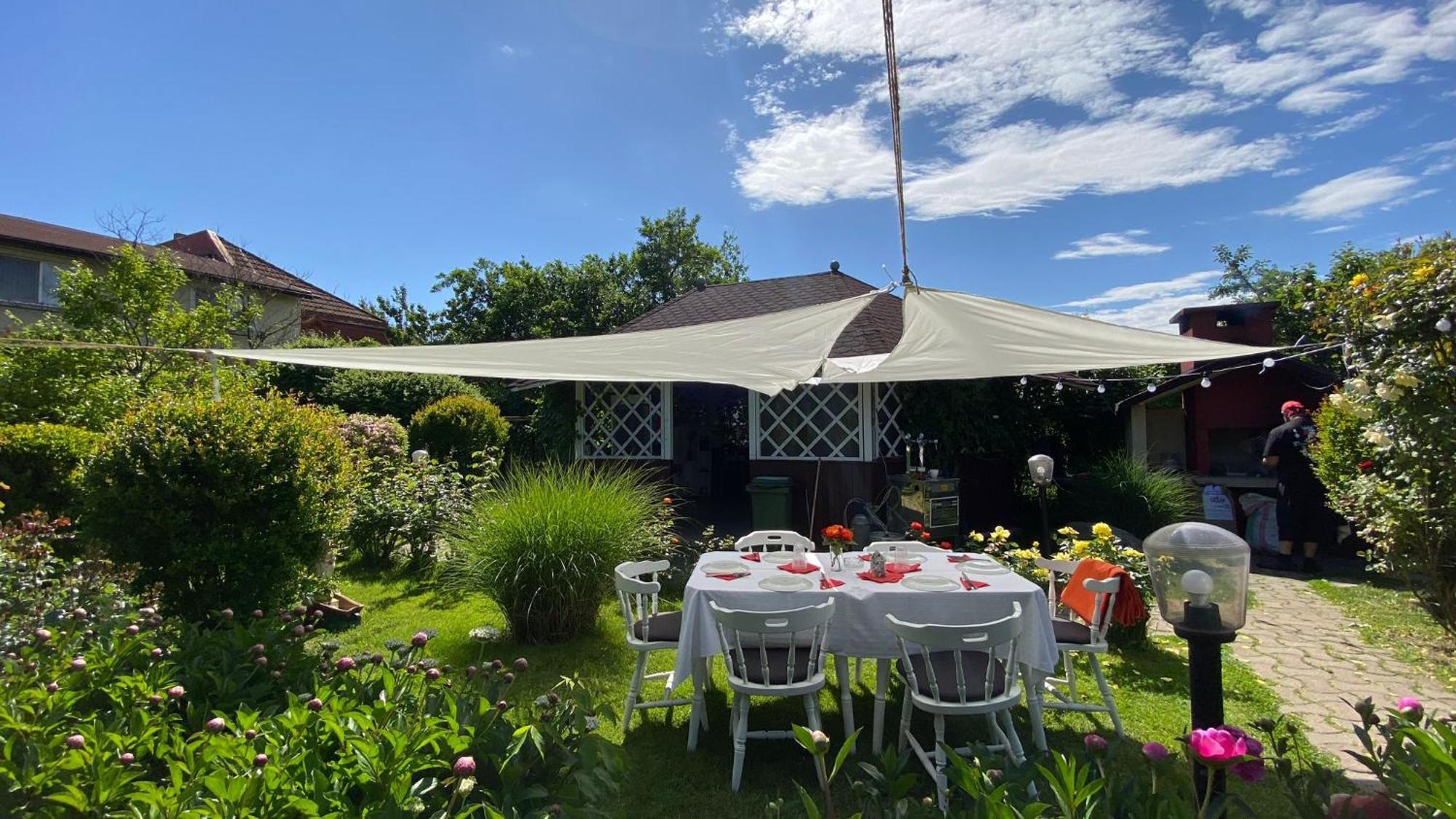 Pension Delia Gardens Тимишоара Экстерьер фото