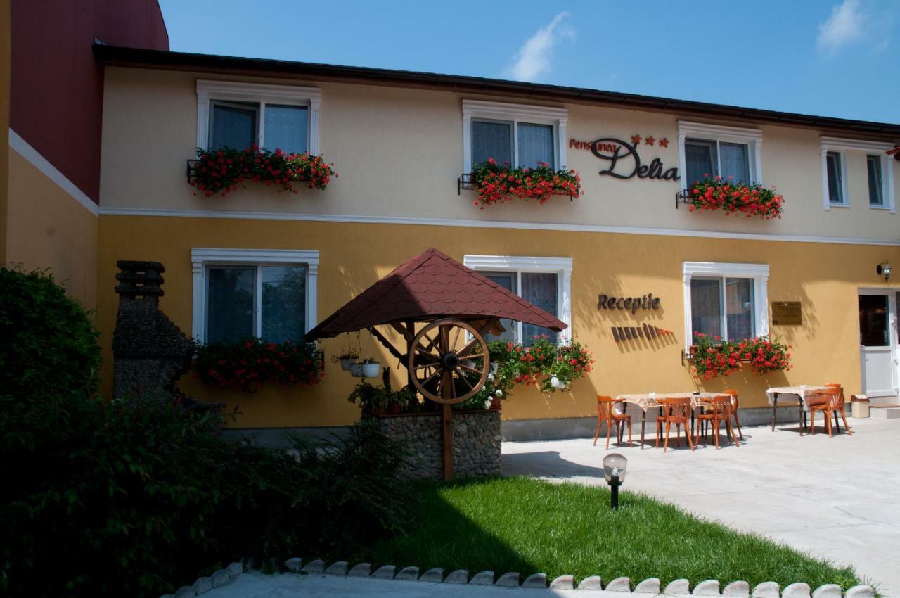 Pension Delia Gardens Тимишоара Экстерьер фото