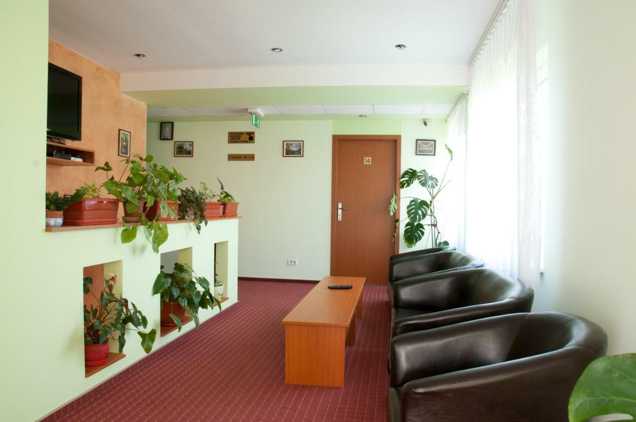 Pension Delia Gardens Тимишоара Экстерьер фото