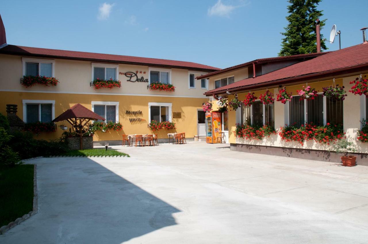 Pension Delia Gardens Тимишоара Экстерьер фото