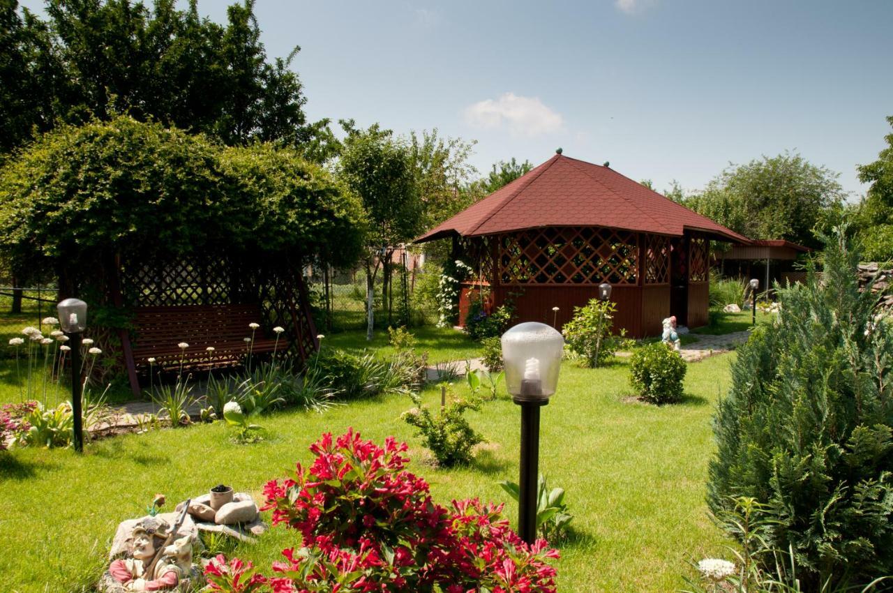 Pension Delia Gardens Тимишоара Экстерьер фото