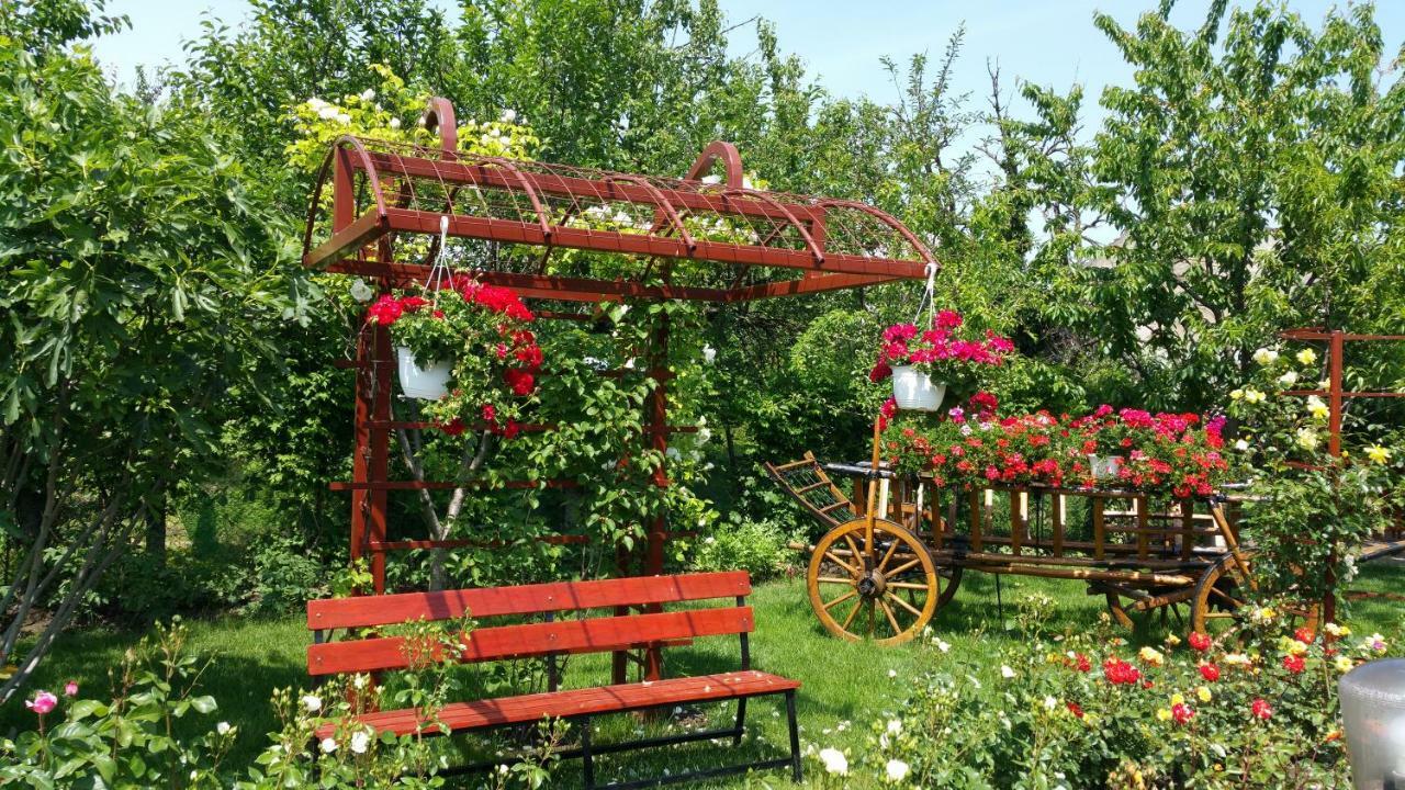 Pension Delia Gardens Тимишоара Экстерьер фото