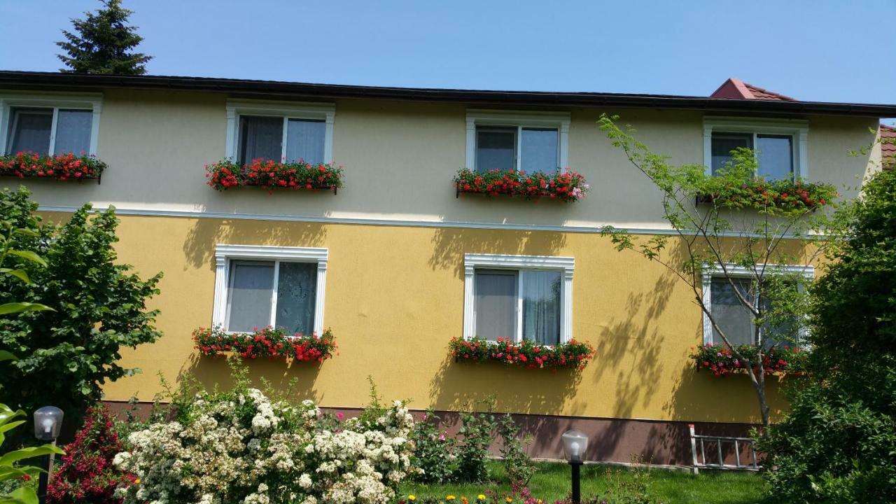 Pension Delia Gardens Тимишоара Экстерьер фото