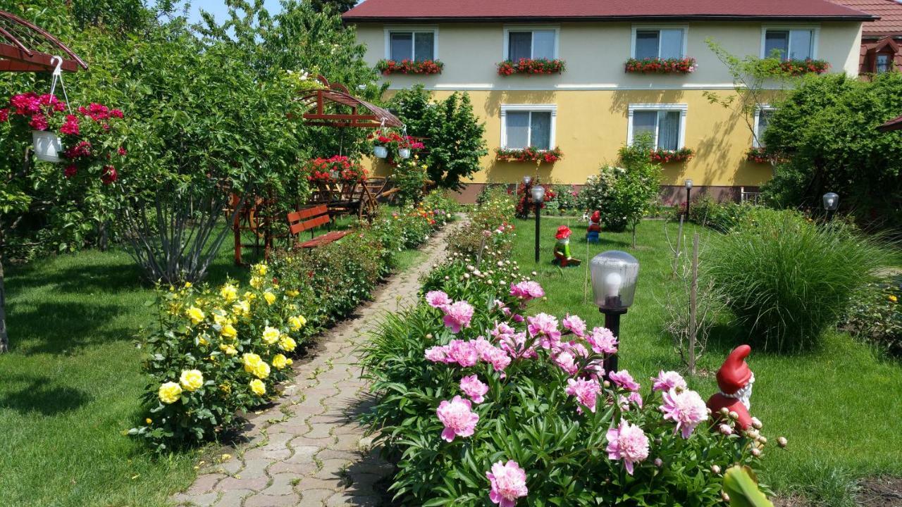 Pension Delia Gardens Тимишоара Экстерьер фото