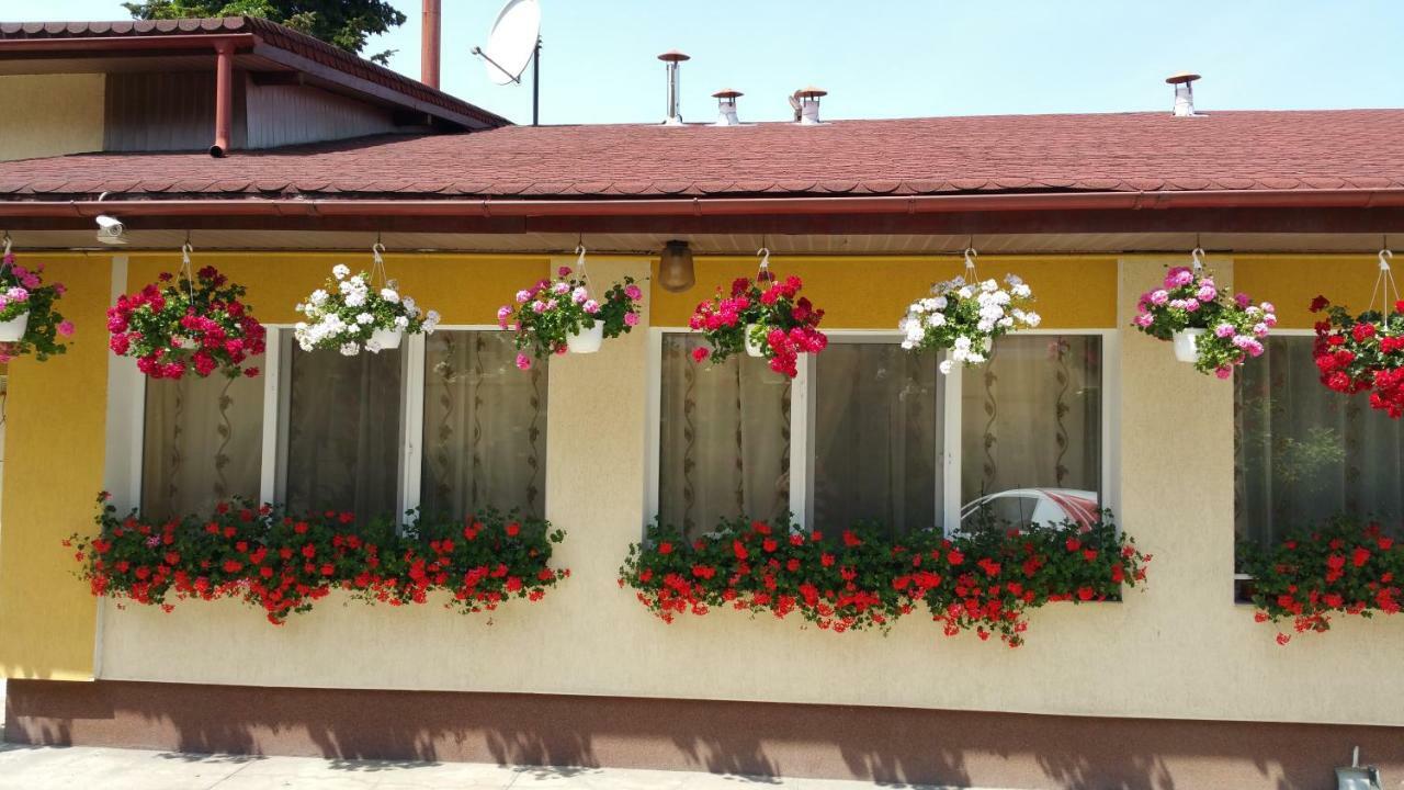 Pension Delia Gardens Тимишоара Экстерьер фото