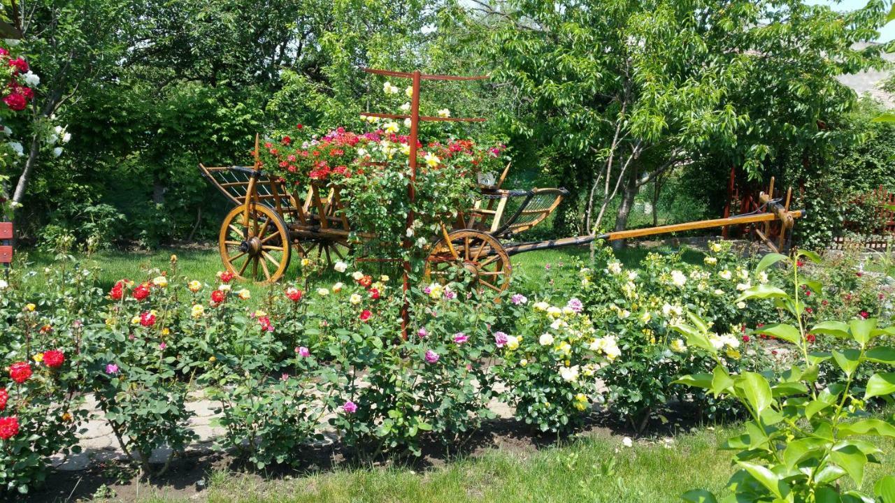 Pension Delia Gardens Тимишоара Экстерьер фото
