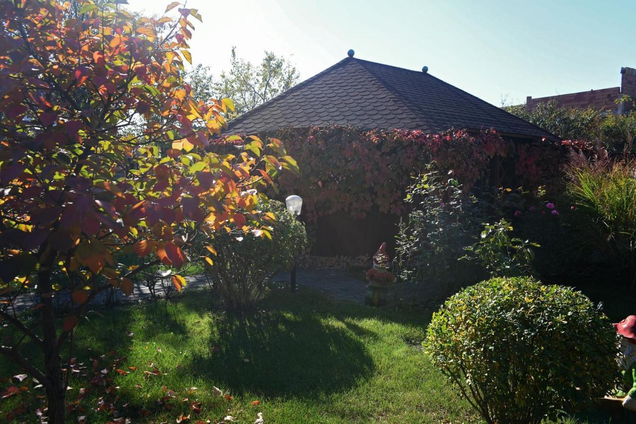 Pension Delia Gardens Тимишоара Экстерьер фото